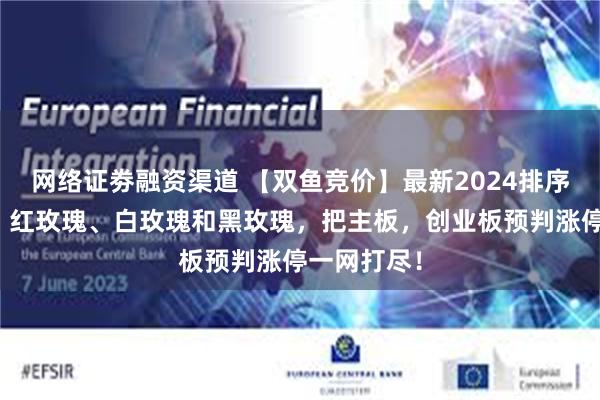 网络证劵融资渠道 【双鱼竞价】最新2024排序竞价系统，红玫瑰、白玫瑰和黑玫瑰，把主板，创业板预判涨停一网打尽！