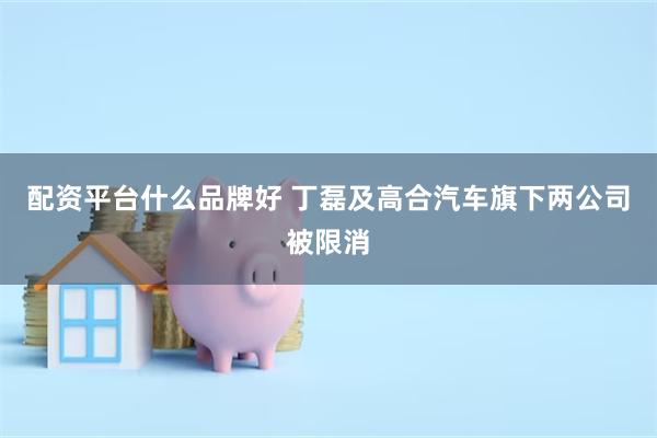 配资平台什么品牌好 丁磊及高合汽车旗下两公司被限消