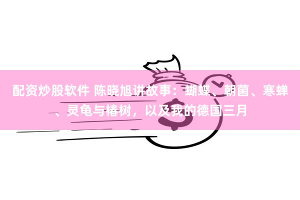 配资炒股软件 陈晓旭讲故事：蝴蝶、朝菌、寒蝉、灵龟与椿树，以及我的德国三月
