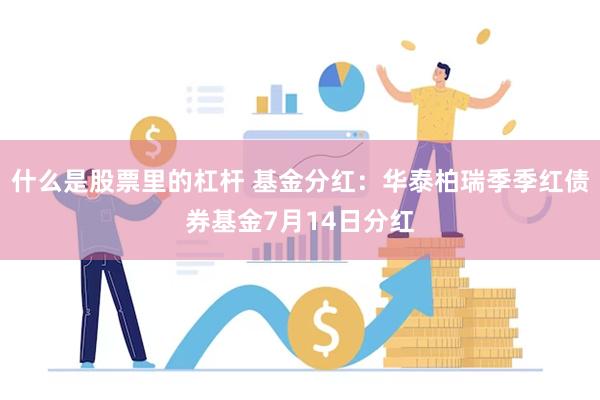 什么是股票里的杠杆 基金分红：华泰柏瑞季季红债券基金7月14日分红