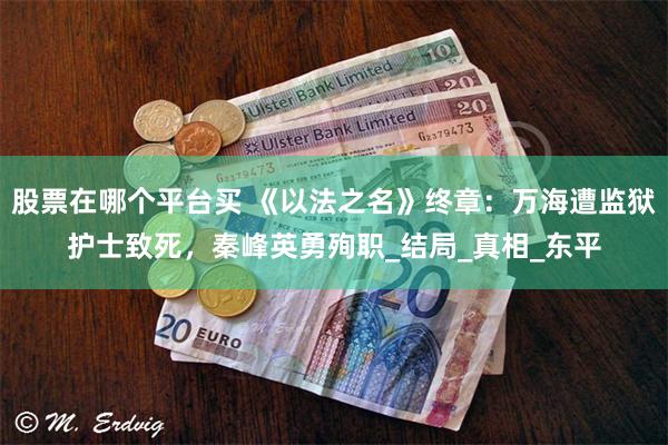 股票在哪个平台买 《以法之名》终章：万海遭监狱护士致死，秦峰英勇殉职_结局_真相_东平
