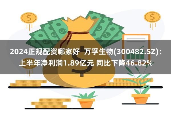2024正规配资哪家好  万孚生物(300482.SZ)：上半年净利润1.89亿元 同比下降46.82%