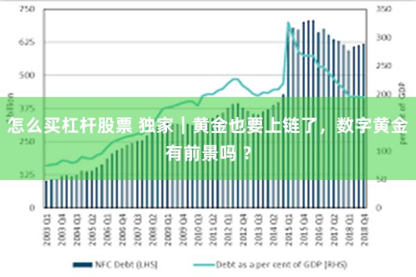 怎么买杠杆股票 独家｜黄金也要上链了，数字黄金有前景吗 ？